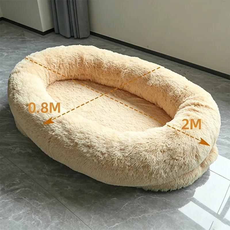 Dual-Use Sponge Bed for Humans and Dogs