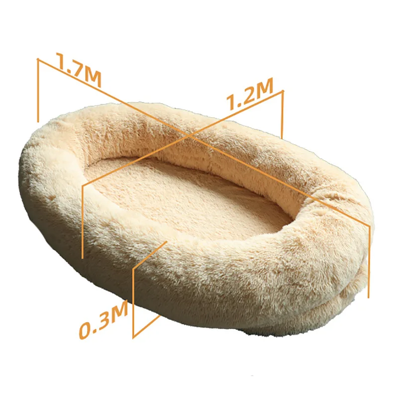 Dual-Use Sponge Bed for Humans and Dogs