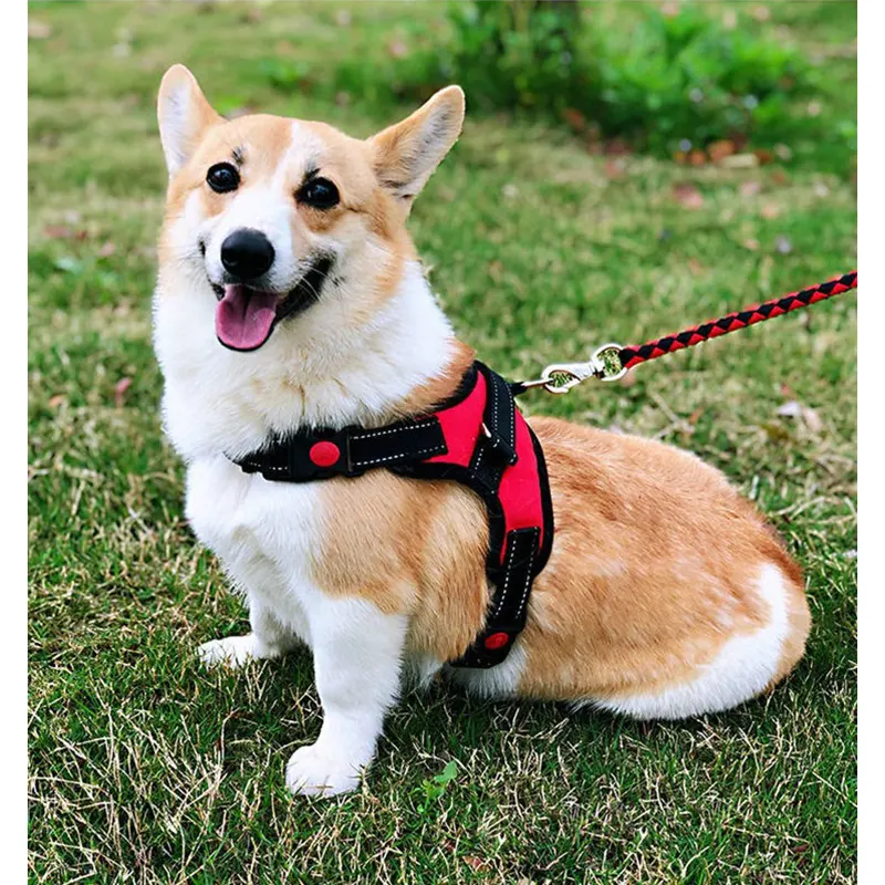 H-Shaped Breathable Mesh Pet Harness